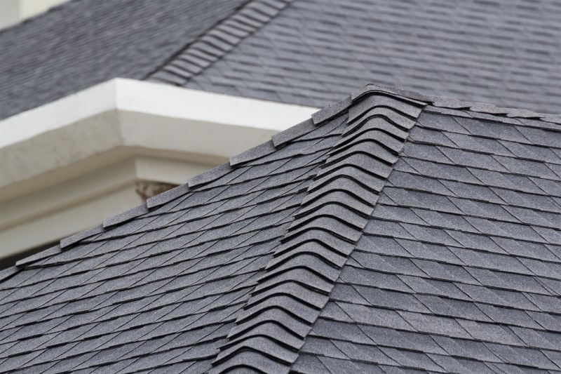 Specialty Roofing Companies